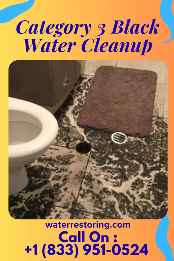 Category 3 Black Water Cleanup in Davidson, OK
