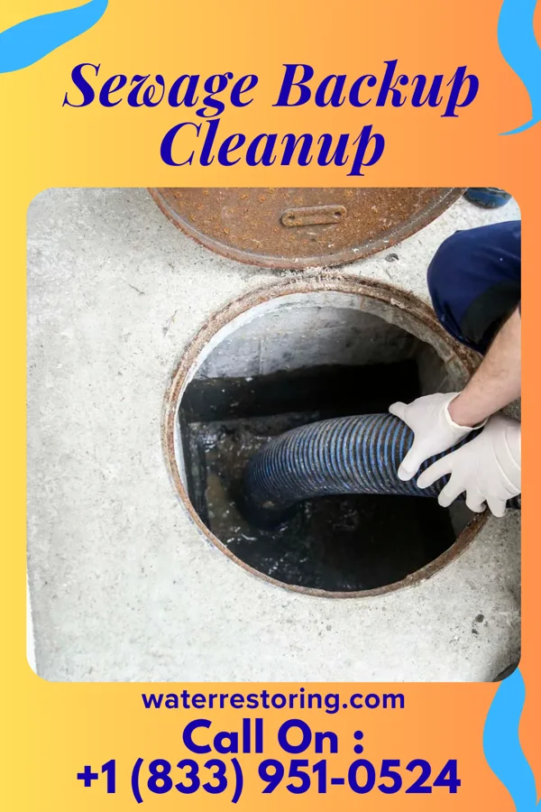 Sewage Backup Cleanup in Davidson, OK